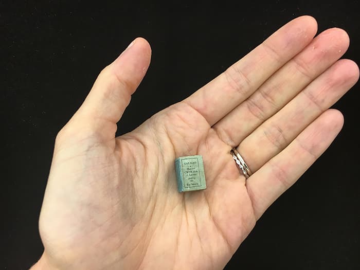 Hand with miniature book