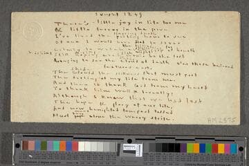 There's little joy in life for me