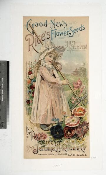 Good news Rice's flower seeds just received!