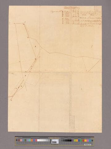 Survey by George Washington of exchange of land with William Triplett