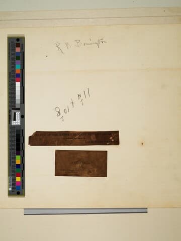 Portraits of Two Children