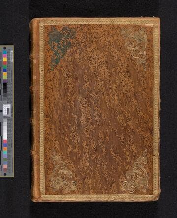 Part I. Trial of Leonor Rodríguez [de Alvarez] for judaizing, 1597-1601. Part II. Investigation of Manuel Hidalgo y Costilla for position of lawyer with the Inquisition, 1790-1791