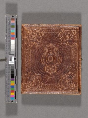 Unidentified woman with hoop earrings that are hand-colored gold [Beecher family?]