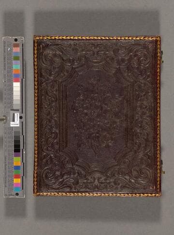 Unidentified young man wearing a pocket watch with chain [Beecher family?]