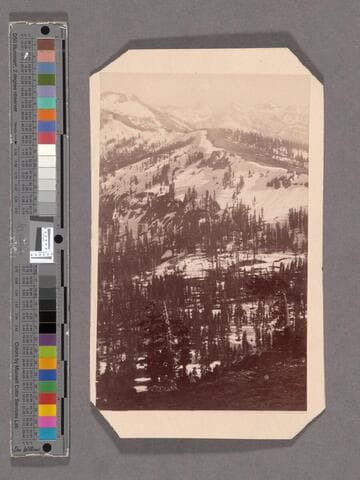 Summits of Sierras. 8,000 to 10,000 feet altitude