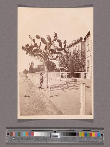 Street view in Los Angeles