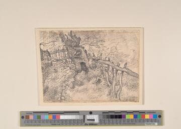 Rustic Fence and Tree