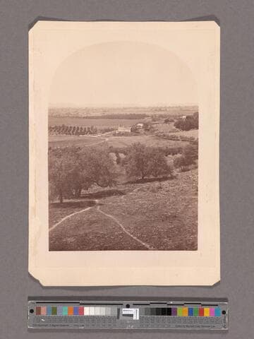 View from Lake Vineyard, B.D. Wilson's, San Gabriel