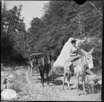 A woman riding side-saddle on a mule