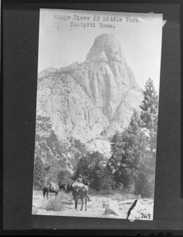 Kings River Project #3