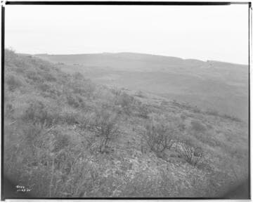 Distribution Lines - Malibu fire area