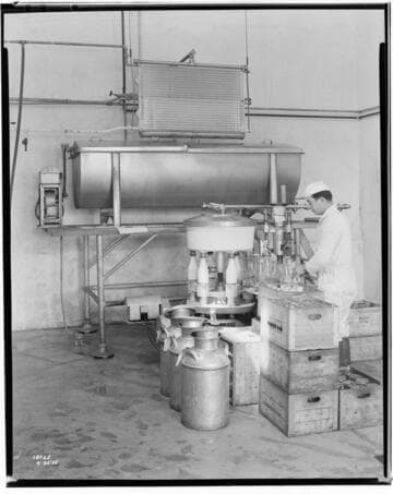 Dairy - VitaminD Dairy milk cooler and bottler