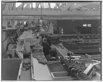 Lighting in Orange Packing House - Redlands