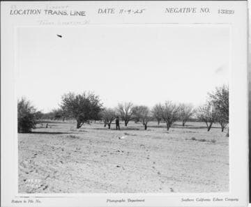 Vincent Transmission line