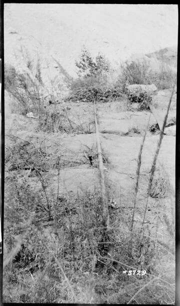 A1.1 Personal Injury-Accident