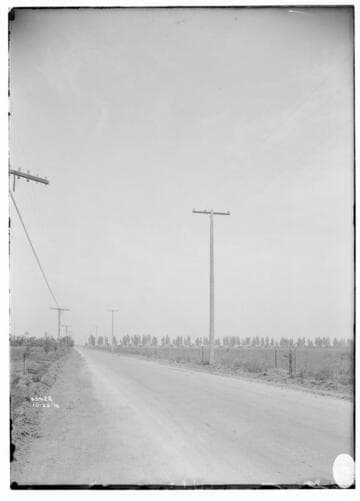 Distribution Lines - Pole line