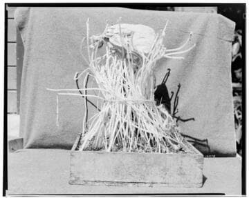 I1 - Insectary - Santa Paula