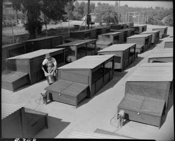 Laura Scudders' Puente ranch