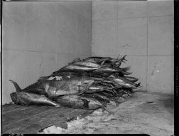 Industrial Miscellaneous