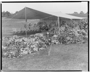 P1.2 - Portraits, misc