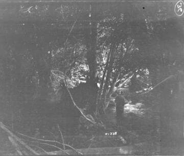 Kern River Miscellaneous