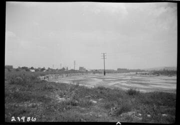 Chino-Colton Transmission Line (66kV)