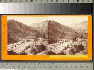 229. American River Bridge