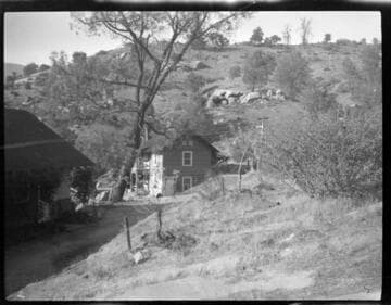 Cabins in oak woodland