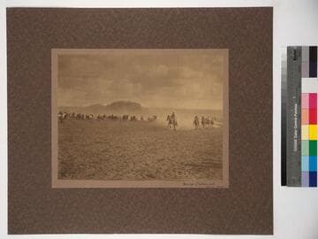 Navajo Chicken pull. Naho'qai qaltqe