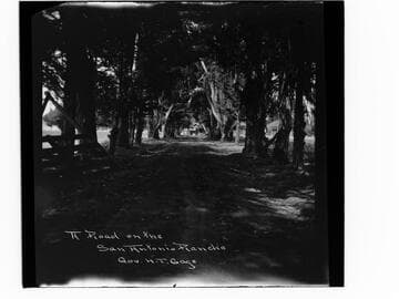 A road on the San Antonio Rancho. Gov. H.T. Gage