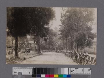 "Bowl" Road, Hollywood, Cal