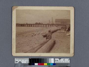 Alfred feeding his seagulls, Redondo Beach