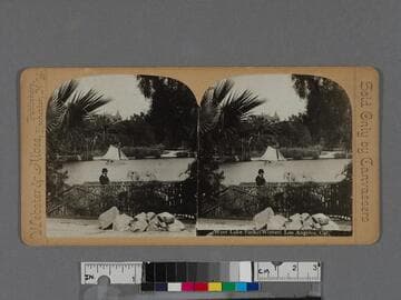 West Lake Park, (Winter) Los Angeles, Cal