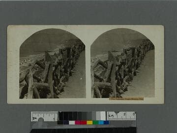 The Palisades, Santa Monica, Cal