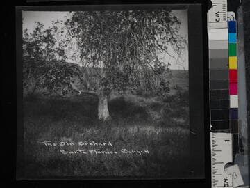 The Old Orchard, Santa Monica Canyon