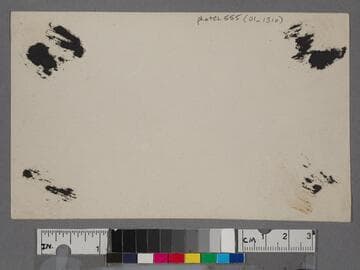 Bluffs and coast road, Pacific Palisades