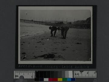 After moon stones, Santa Monica