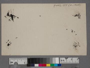 Sunset Trail, Santa Monica