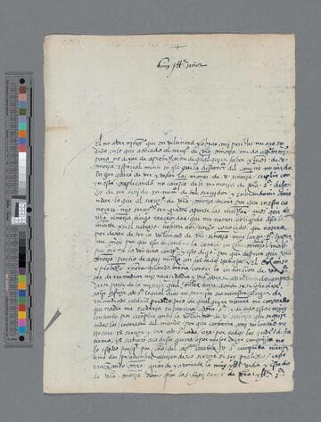 Juan de Salinas letter to Gonzalo Pizarro