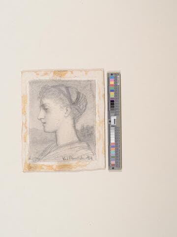 Portrait of a Young Woman