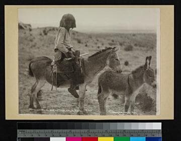 Moki going to hoe his corn, Walpi, Arizona