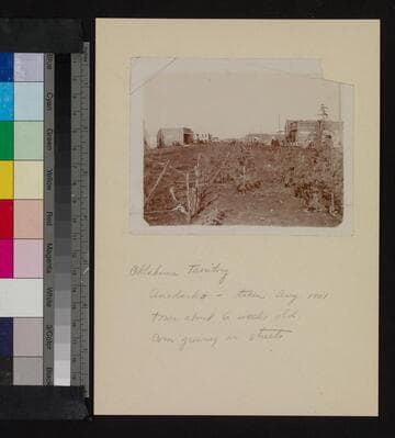 Oklahoma Territory, Anadarko -- taken Aug 1901, town about six weeks old