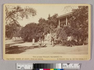 View at Lake Vineyard, San Gabriel, Cal