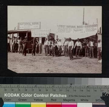 Banks in cornfield, August 1901