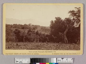 View at Lake Vineyard, San Gabriel, Cal