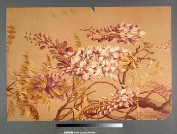 [White and purple flowers on branch]