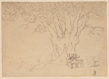 Deer Beneath a Large Tree