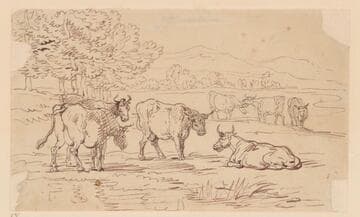 Seven Cows in a Landscape