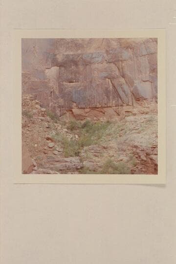Melody or Melodic Spring in the cove at Mile 1, left bank, San Juan River