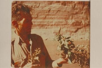 Hugh Cutler with monkey flower specimen at Vaseys Paradise